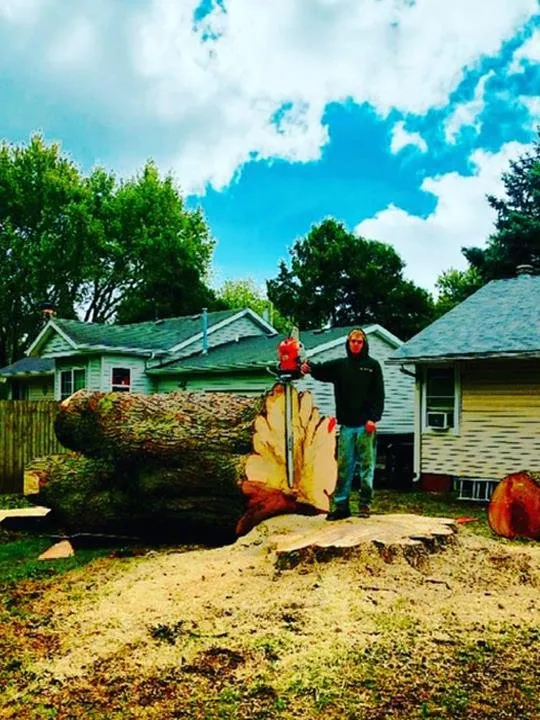 Affordable lawn care service experts serving Garden Prairie, IL - Pro Tree Care Linda Johns
