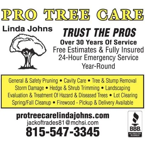 Custom garden landscaping with custom design in Garden Prairie, IL by Pro Tree Care Linda Johns