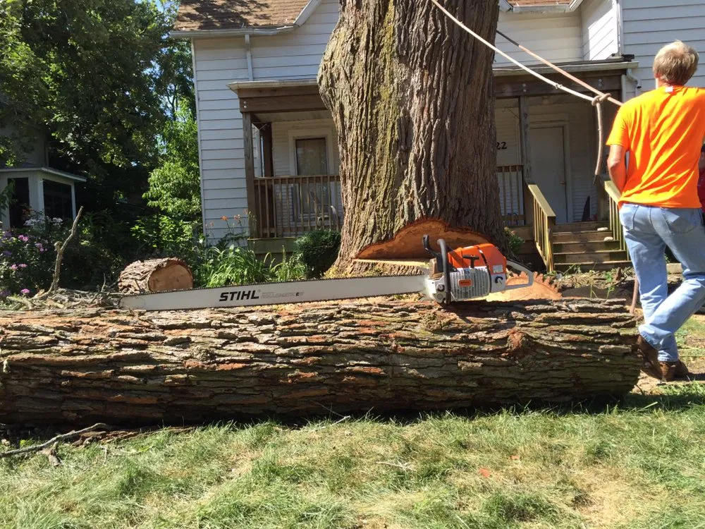 Professional lawn mowing service for year-round maintenance across Garden Prairie, IL - Pro Tree Care Linda Johns