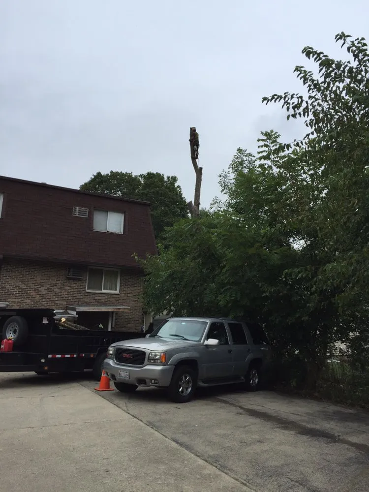 Custom residential landscaping in Garden Prairie, IL by Pro Tree Care Linda Johns