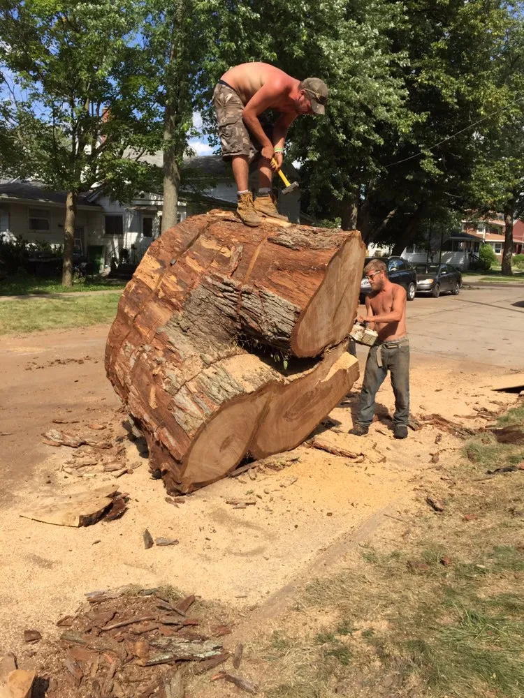 Reliable landscape design experts serving Garden Prairie, IL - Pro Tree Care Linda Johns