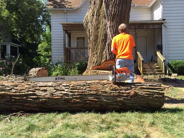 Affordable garden landscaping experts serving Garden Prairie, IL - Pro Tree Care Linda Johns