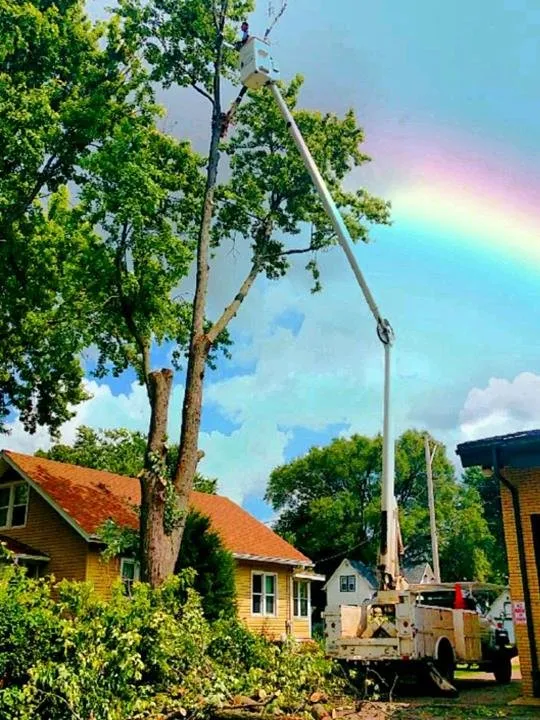 Reliable outdoor landscaping in Garden Prairie, IL by Pro Tree Care Linda Johns