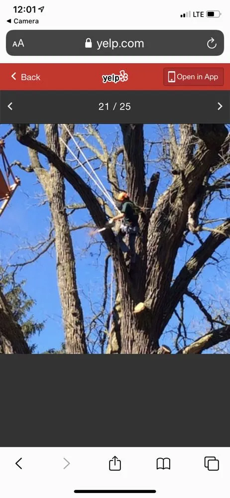 Affordable landscape installation in Garden Prairie, IL - Pro Tree Care Linda Johns