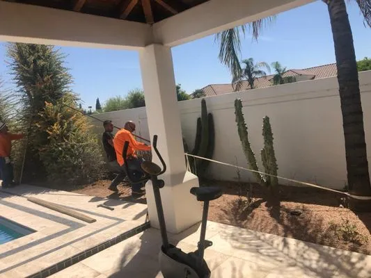 Pro Tree Removal And Trimming Services