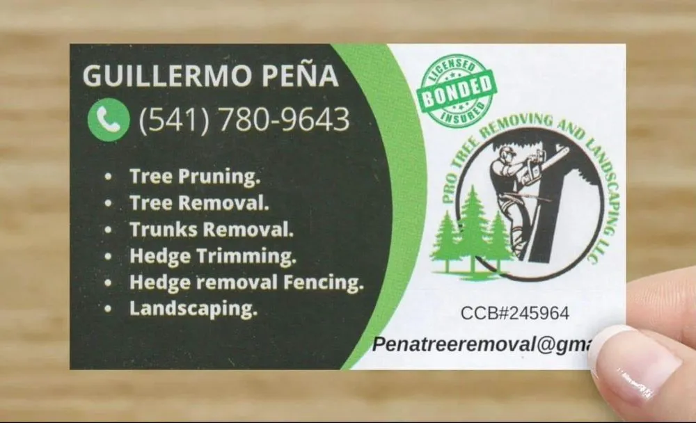 Professional yard cleanup service in Springfield, OR by Pro Tree Removing And Landscaping
