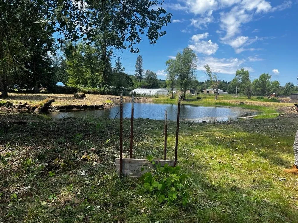 Affordable residential landscaping experts serving Springfield, OR - Pro Tree Removing And Landscaping