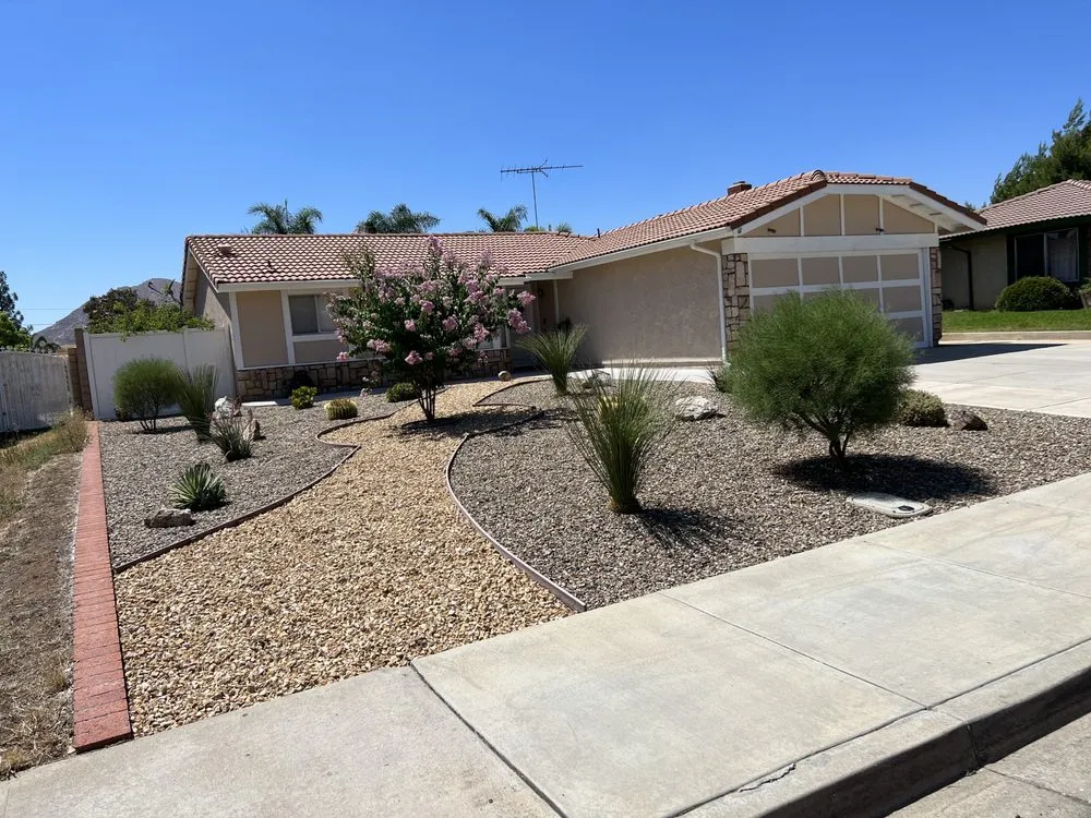 Reliable yard cleanup service for year-round maintenance in Placentia, CA by Pro Tree Service and Landscape