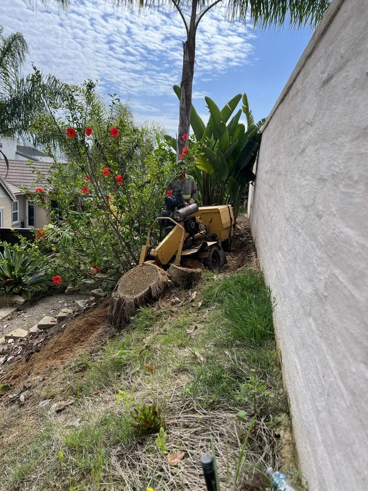 Local residential landscaping for outdoor upgrades across Placentia, CA - Pro Tree Service and Landscape
