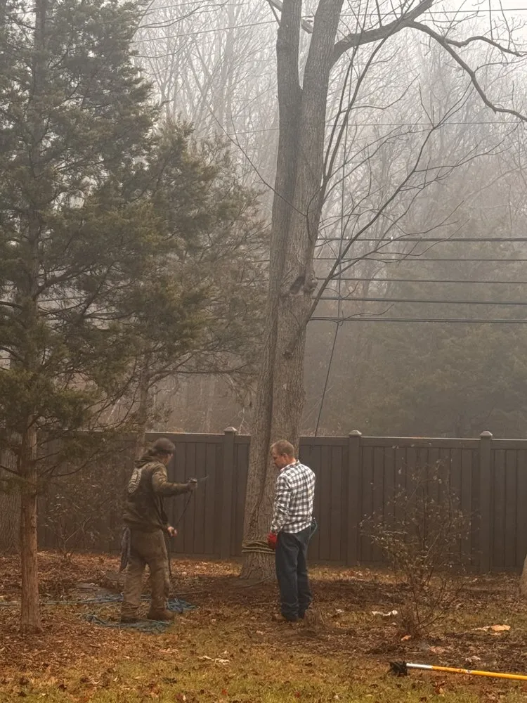 Local landscape design in Atco, NJ - Pro Tree Source