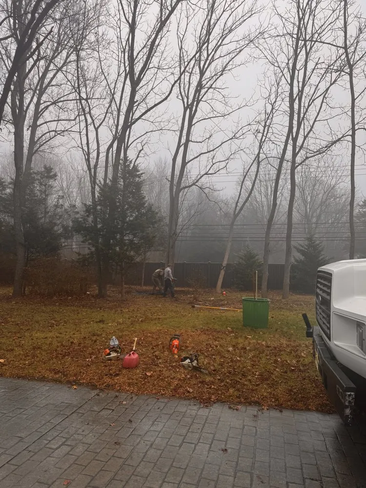 Top-rated yard cleanup service near you in Atco, NJ by Pro Tree Source