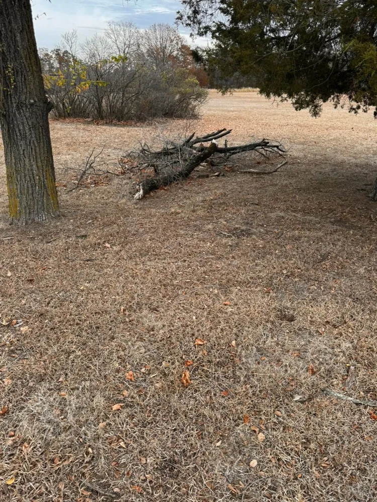 Top-rated lawn mowing service in Atco, NJ - Pro Tree Source