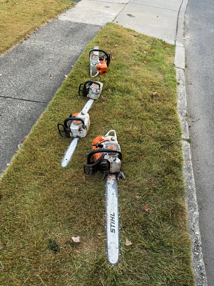 Expert landscape installation with custom design across Atco, NJ - Pro Tree Source