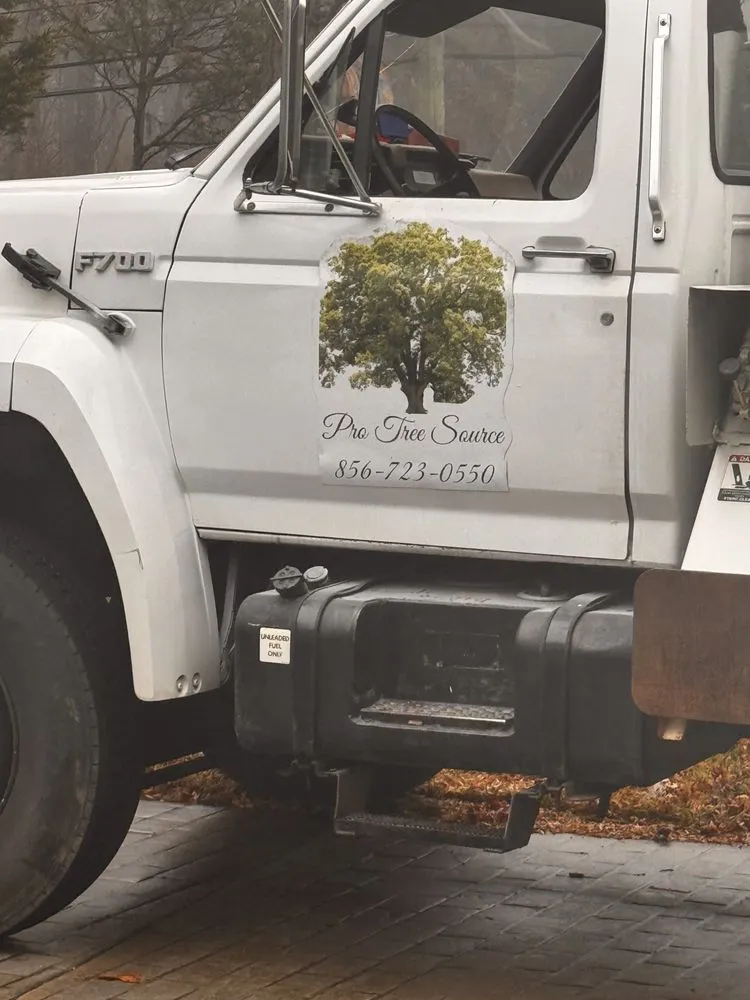 Custom landscaping services experts serving Atco, NJ - Pro Tree Source