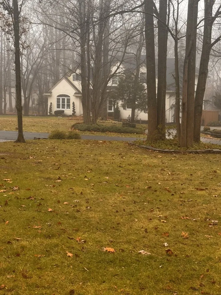 Expert landscape installation near you in Atco, NJ by Pro Tree Source
