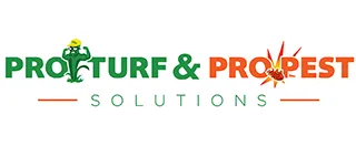 Professional residential landscaping for beautiful yards in Belton, MO by Pro Turf and Pro Pest Solutions