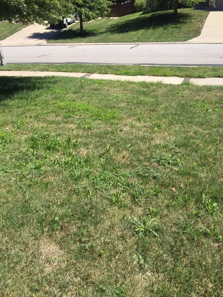 Reliable outdoor landscaping experts serving Belton, MO - Pro Turf and Pro Pest Solutions