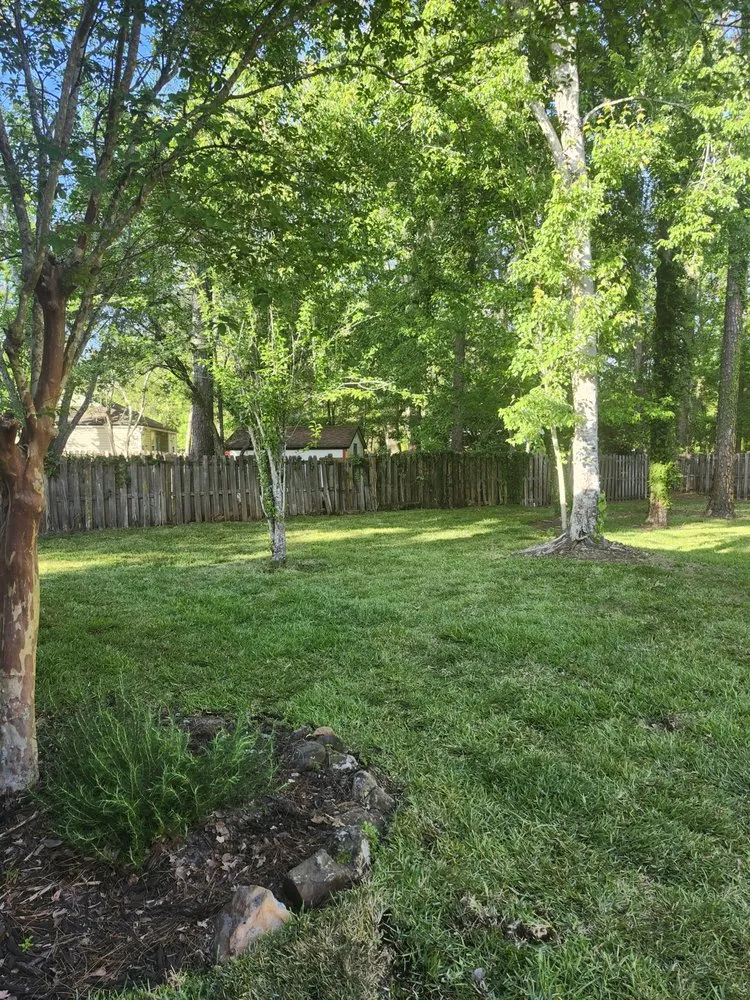 Reliable garden landscaping with custom design across Jacksonville, FL - Pro Turf Improvers