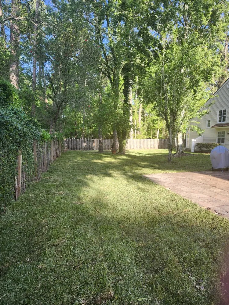 Top-rated landscape installation for residential properties across Jacksonville, FL - Pro Turf Improvers