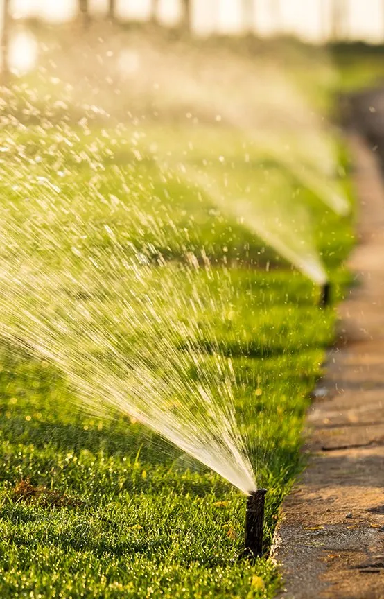 Custom landscaping services for year-round maintenance across Fort Collins, CO - PRO-TURF Landscape