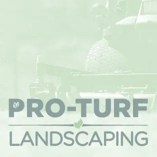 Affordable lawn care service experts serving Fort Collins, CO - PRO-TURF Landscape