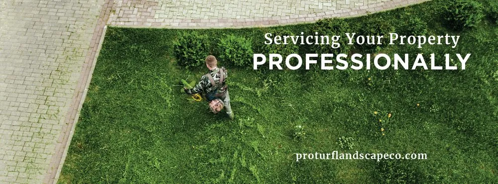 Top-rated yard maintenance experts serving Fort Collins, CO - PRO-TURF Landscape