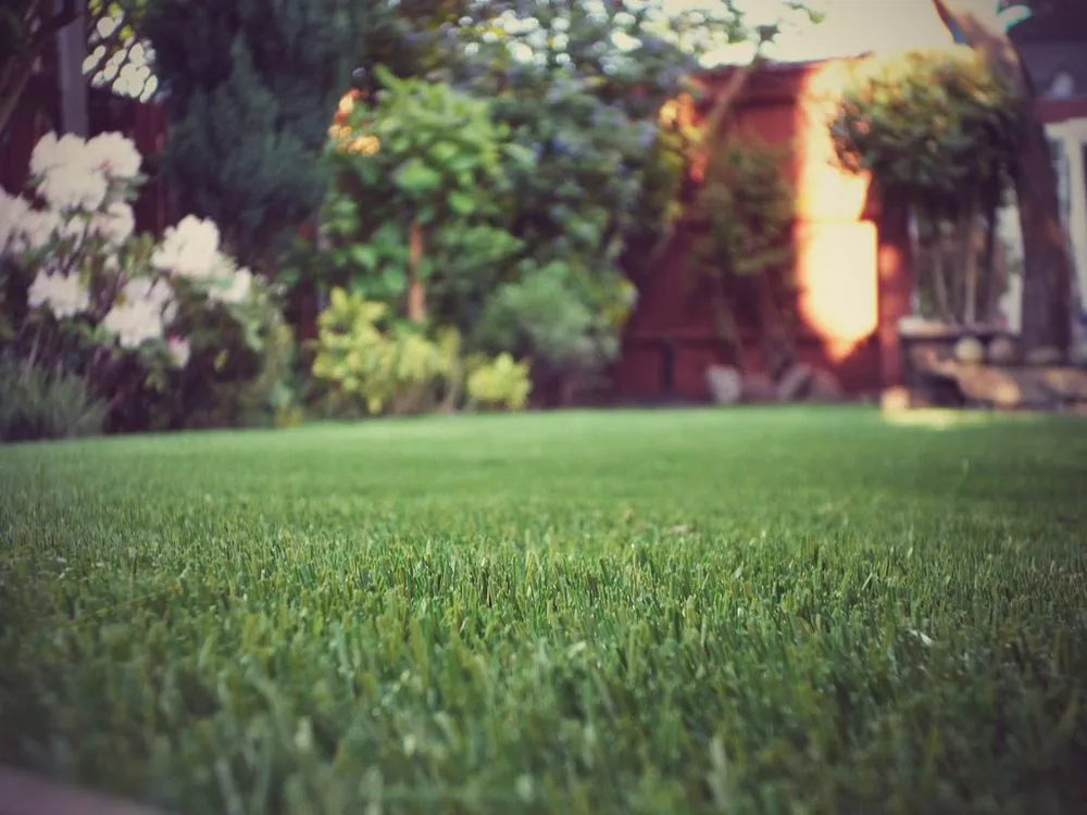 Professional lawn mowing service experts serving Brownsboro, AL - Pro Turf Landscape Services