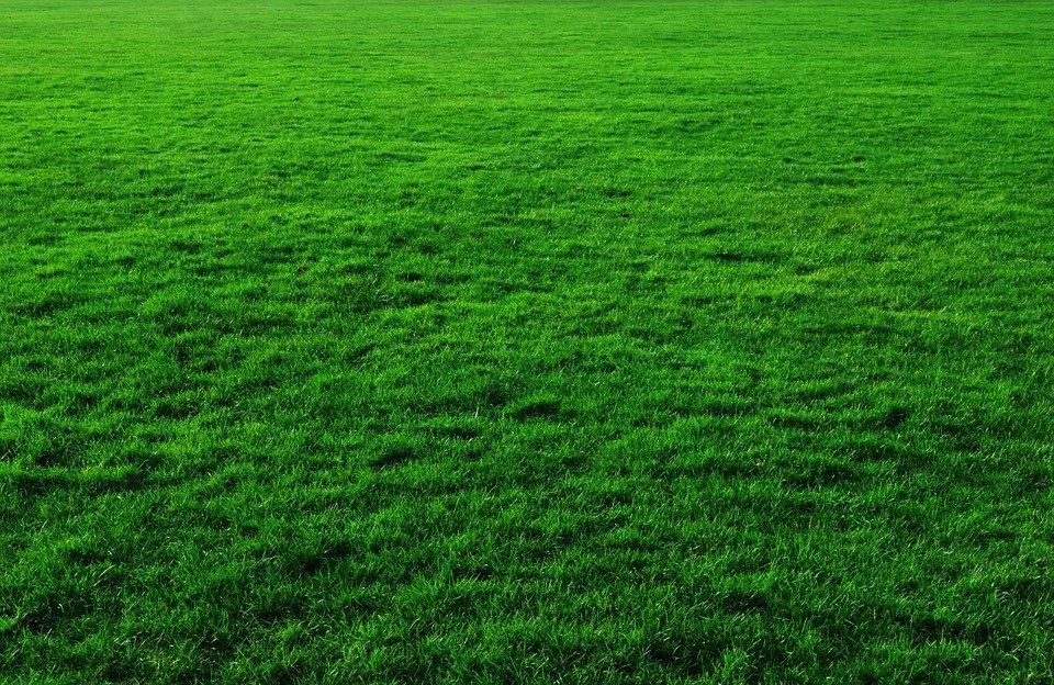 Expert lawn mowing service in Brownsboro, AL - Pro Turf Landscape Services