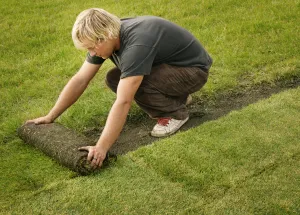 Local lawn mowing service in Brownsboro, AL by Pro Turf Landscape Services