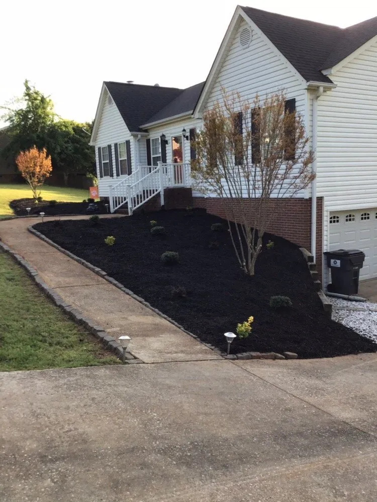 Professional lawn care service in Anderson, SC by Pro-turf Lawn Care