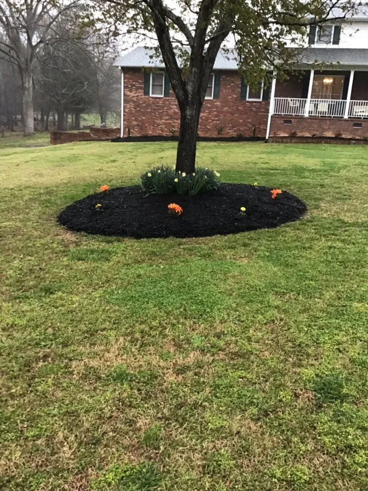 Affordable yard maintenance in Anderson, SC by Pro-turf Lawn Care