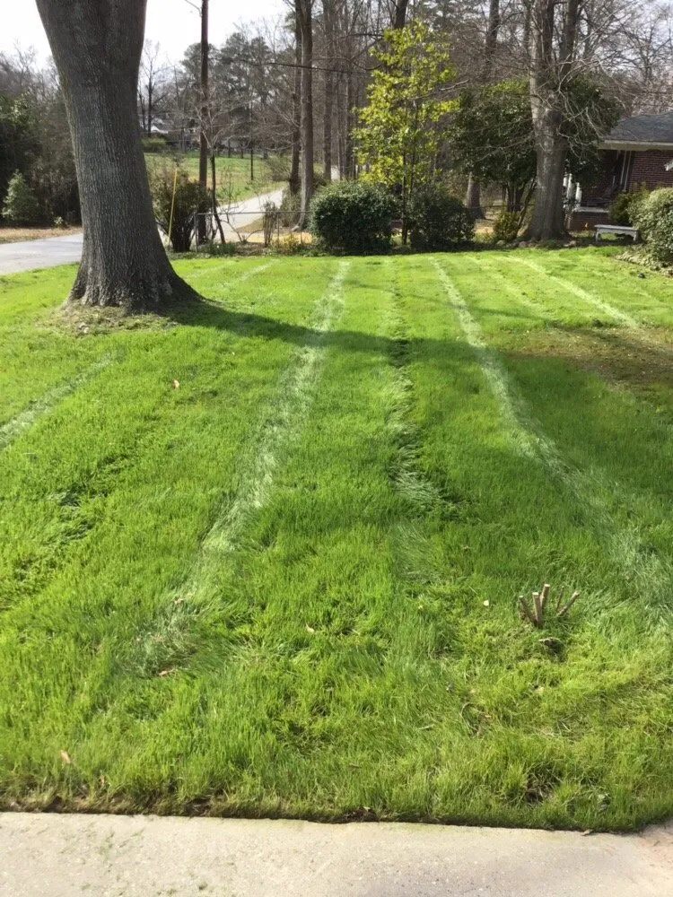 Local landscape installation for residential properties across Anderson, SC - Pro-turf Lawn Care