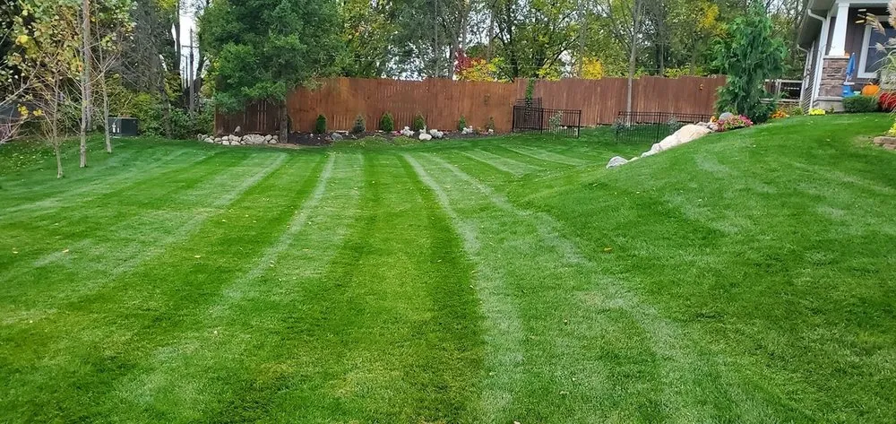 Local yard cleanup service for outdoor upgrades across Elkhart, IN - Pro Turf Lawn Care