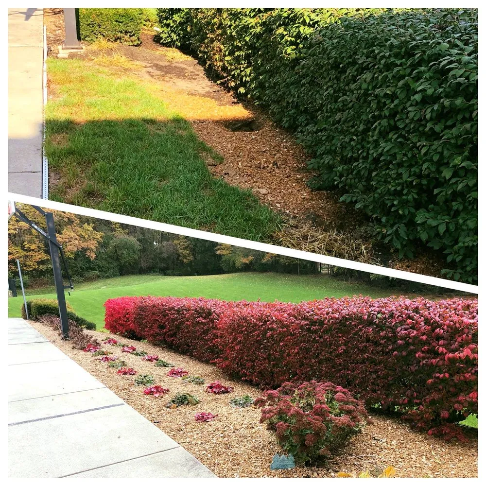 Custom landscape design in Elkhart, IN - Pro Turf Lawn Care