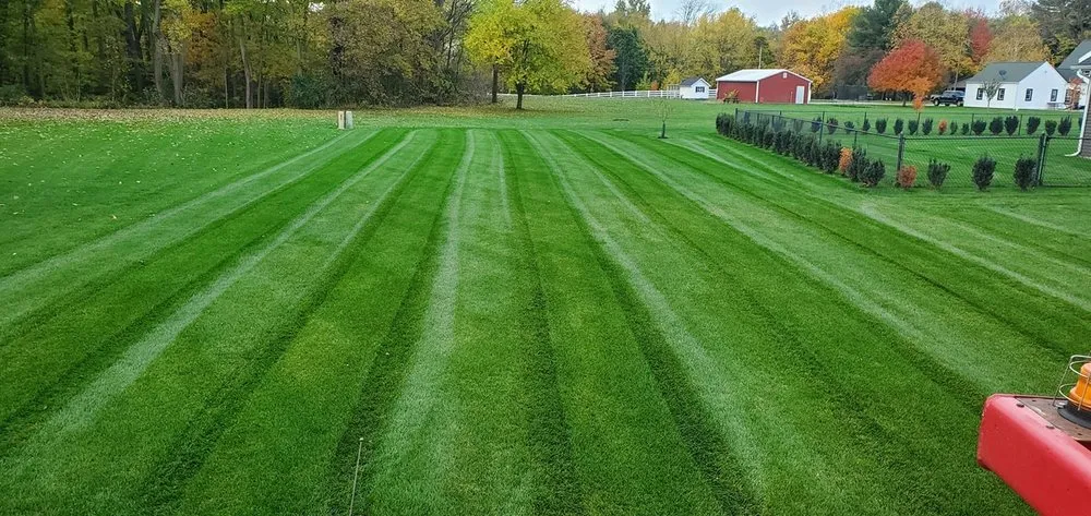 Affordable lawn mowing service in Elkhart, IN - Pro Turf Lawn Care