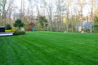 Custom yard cleanup service in Newtown, CT by Pro Turf Lawn Care
