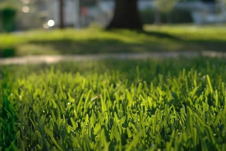 Reliable landscape installation with custom design across Newtown, CT - Pro Turf Lawn Care