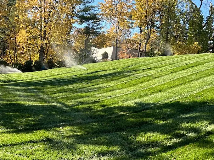Expert outdoor landscaping in Newtown, CT by Pro Turf Lawn Care