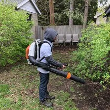 Affordable yard cleanup service near you in Albany, NY by Pro Value Landscaping & Snow Removal