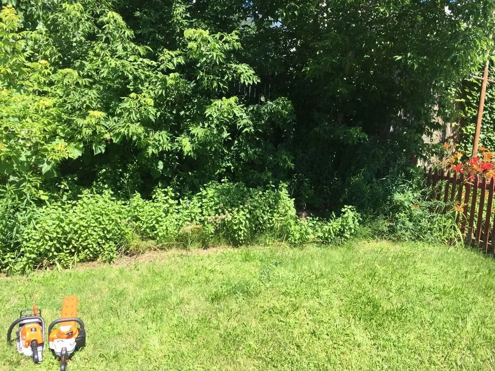 Top-rated outdoor landscaping in Albany, NY by Pro Value Landscaping & Snow Removal