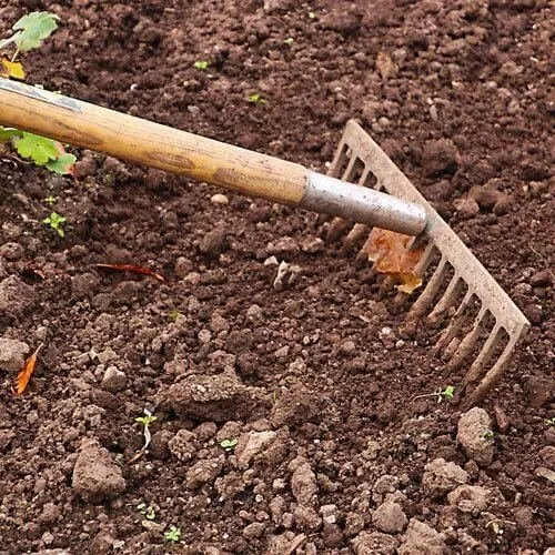 Affordable lawn care service for residential properties in Albany, NY by Pro Value Landscaping & Snow Removal