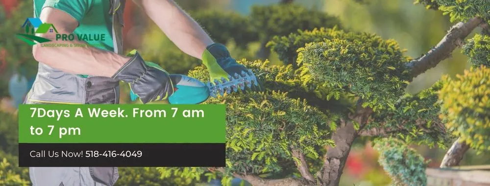 Reliable residential landscaping near you across Albany, NY - Pro Value Landscaping & Snow Removal