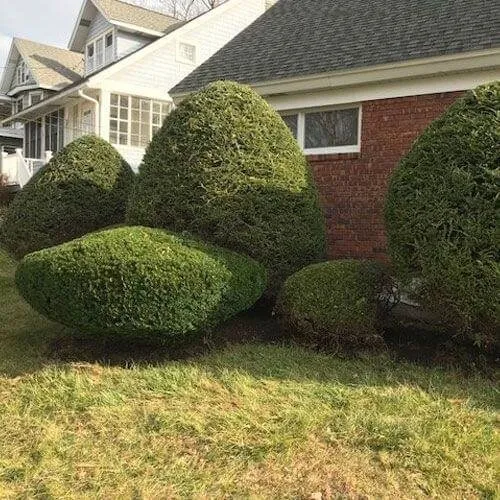 Affordable landscape installation in Albany, NY - Pro Value Landscaping & Snow Removal