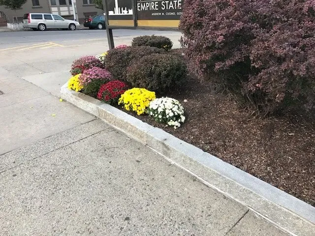 Custom landscape design near you in Albany, NY by Pro Value Landscaping & Snow Removal