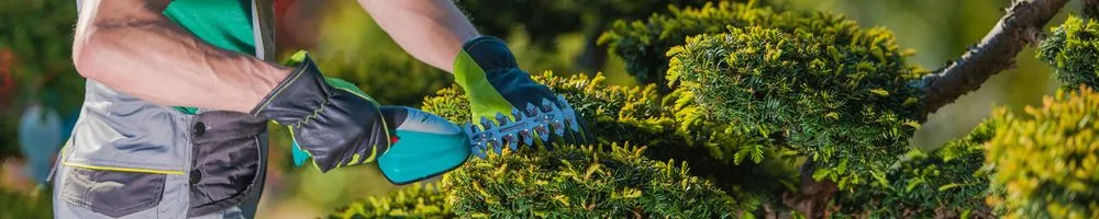 Expert residential landscaping for outdoor upgrades in Albany, NY by Pro Value Landscaping & Snow Removal