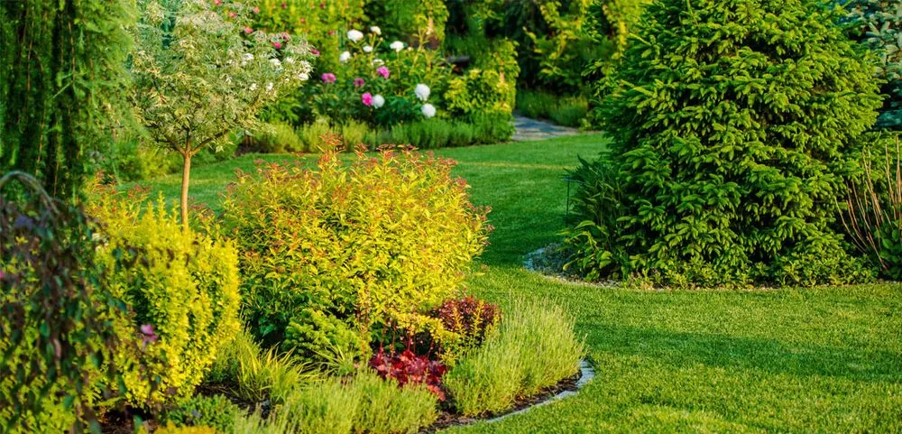 Trusted lawn mowing service with custom design in Albany, NY by Pro Value Landscaping & Snow Removal