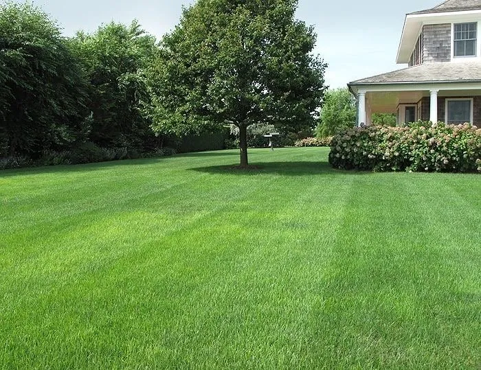 Top-rated garden landscaping near you in Revere, MA by Pro Veliz
