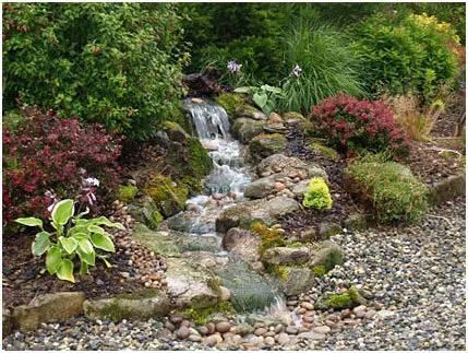 Local lawn care service for beautiful yards across Meridian, ID - Pro-Vision Landscape