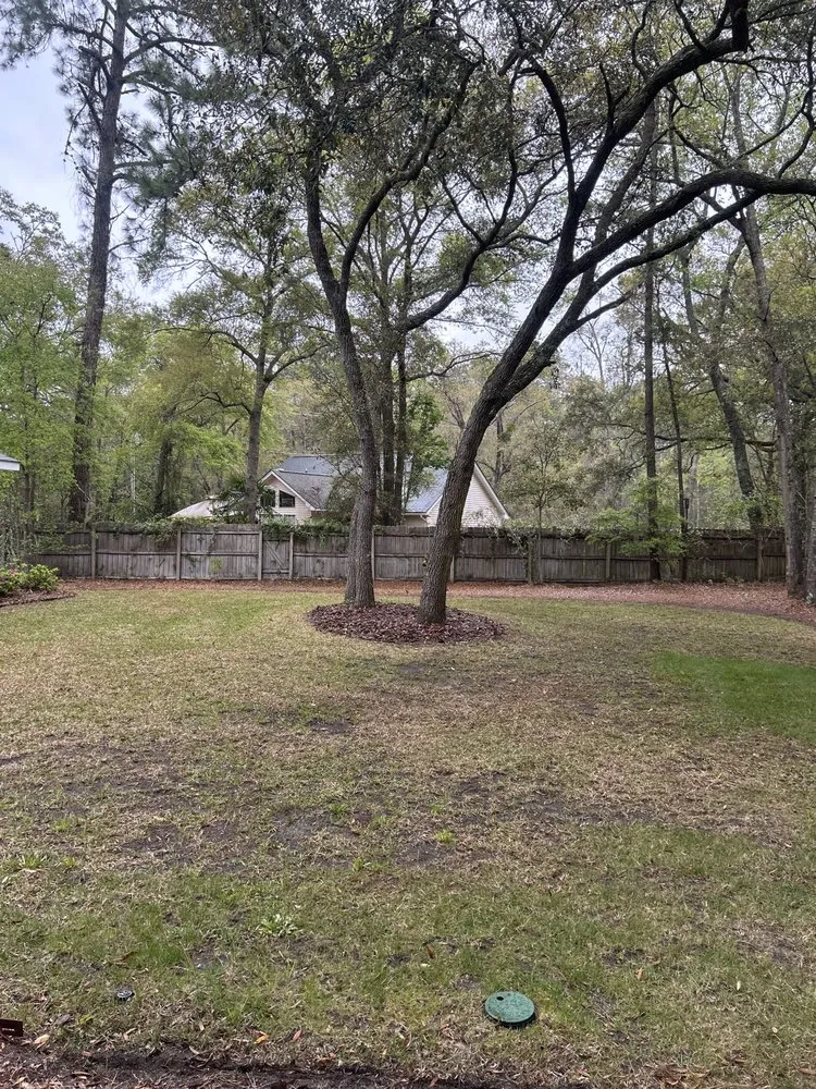 Affordable outdoor landscaping in Ridgeland, SC - Pro Vision Landscape