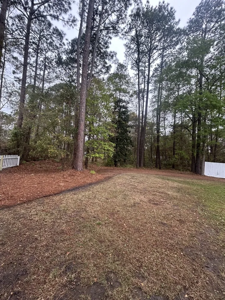 Custom yard maintenance in Ridgeland, SC - Pro Vision Landscape